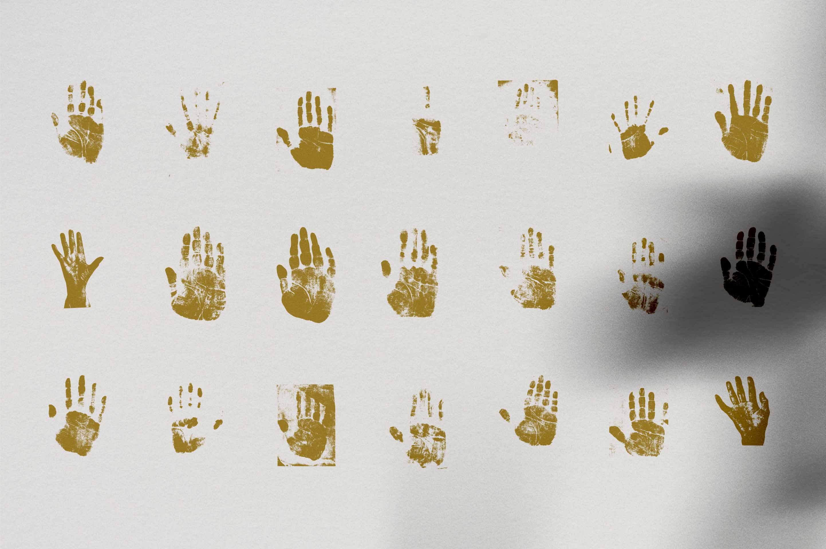 Palmistry, Zodiac & Occult - secret-cache