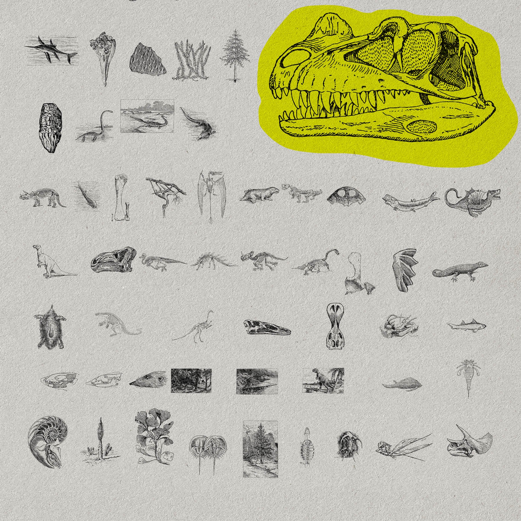 The Age Of Dinosaurs - secret-cache