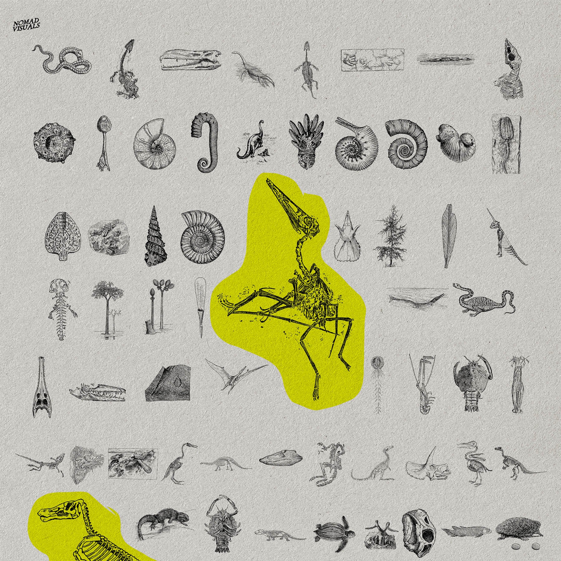 The Age Of Dinosaurs - secret-cache