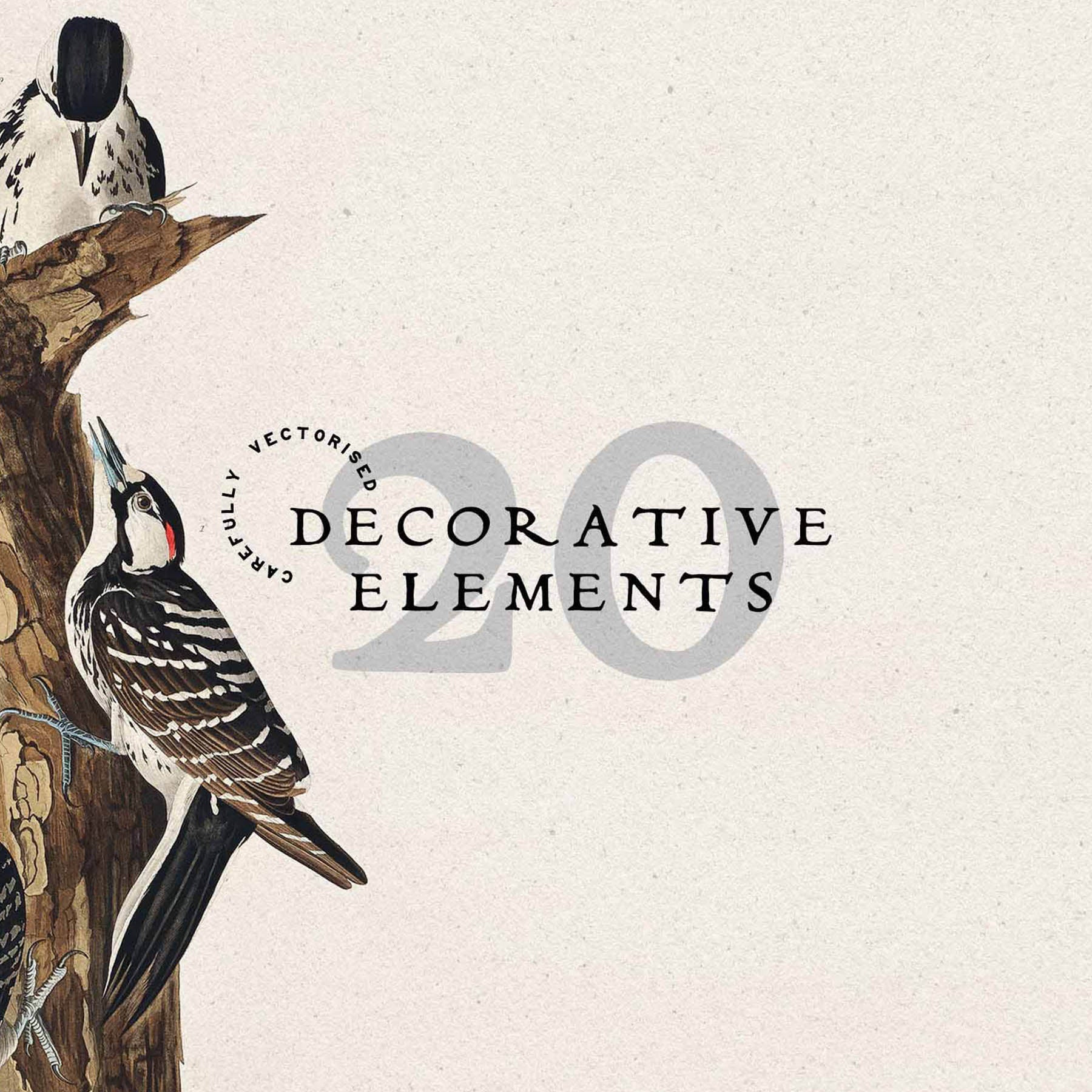 Vintage Logo Creator Kit - secret-cache