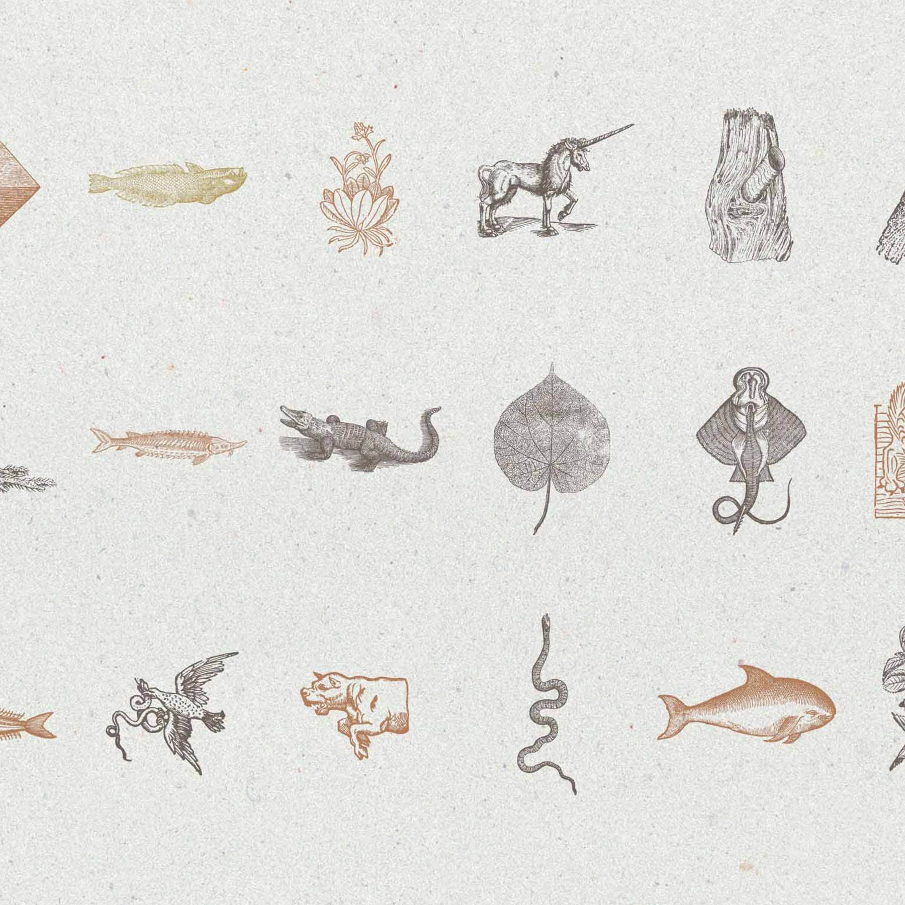 Vintage Logo Creator Kit - secret-cache