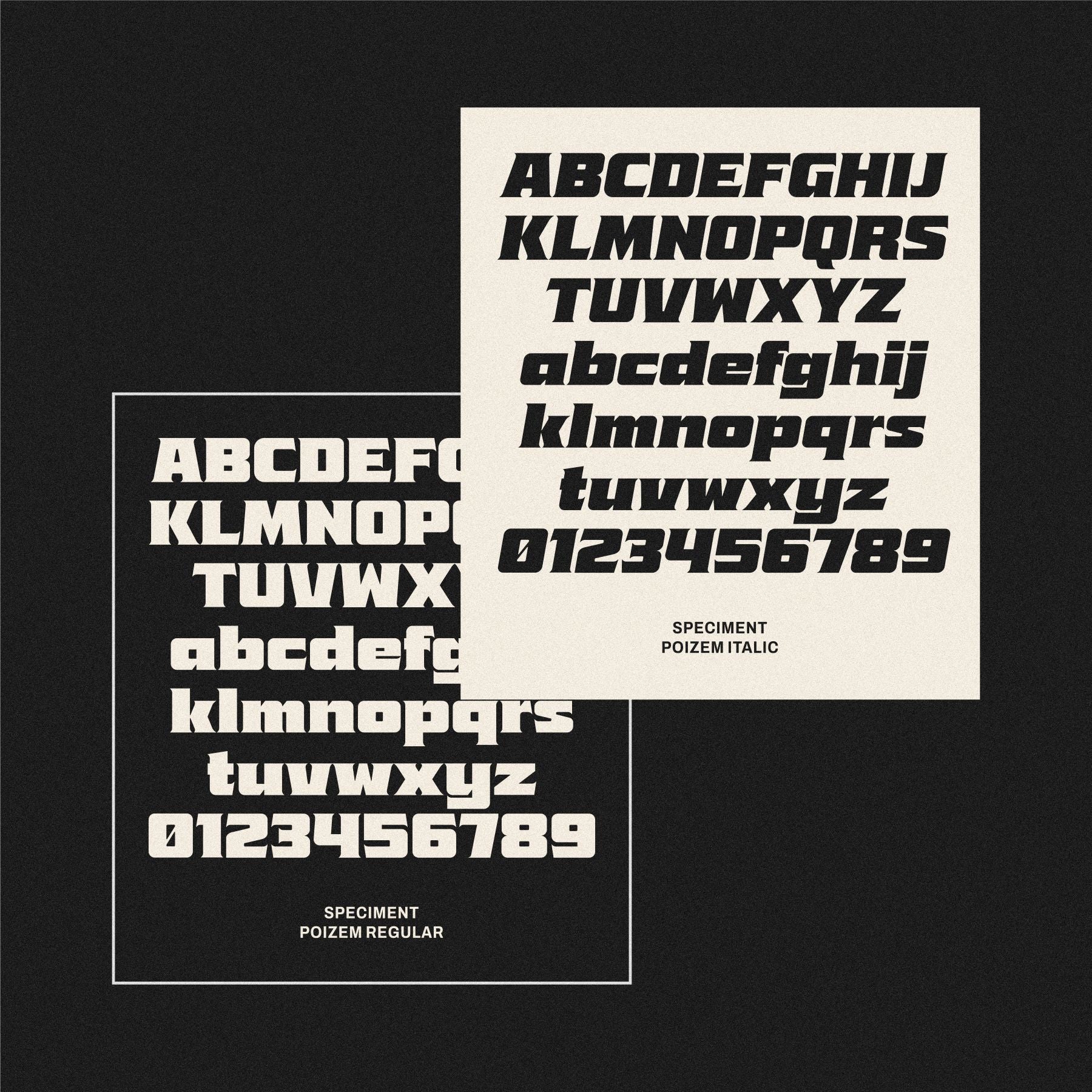 Poizem Serif Typeface